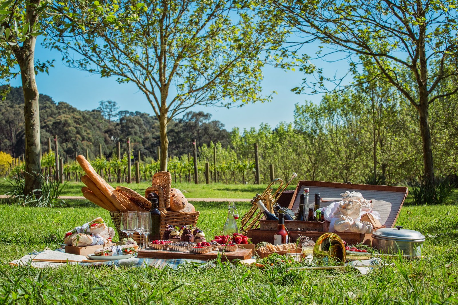 Пикник хайб. Пикник в Тоскане. Летний пикник на природе. Пикник с семьей на природе. Весенний пикник.