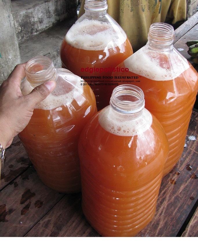 Philippine Food Illustrated tuba