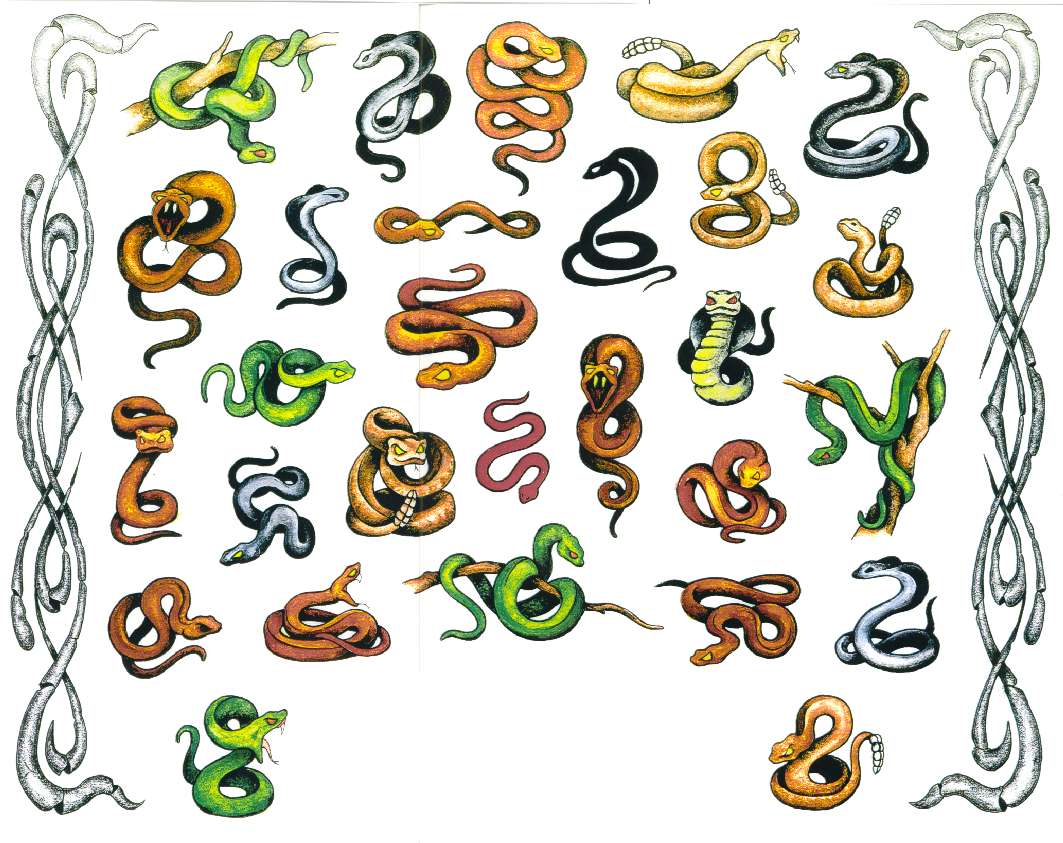 contact-world.blogspot.com: snake tattoos ( 32 photos) - Tetovaže zmija ...