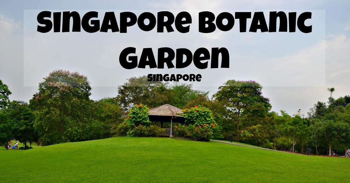 Singapore Botanic Garden - Singapore