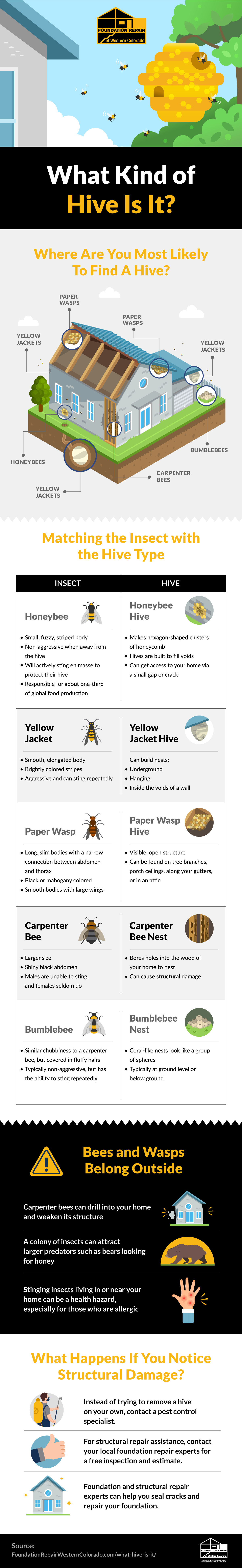 Removing Damaging Bee and Wasp Hives From Your Colorado Home #infographic 