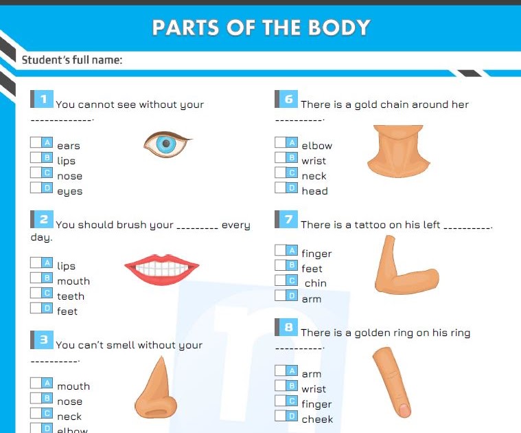 Parts of the Body Multiple Choice Quiz