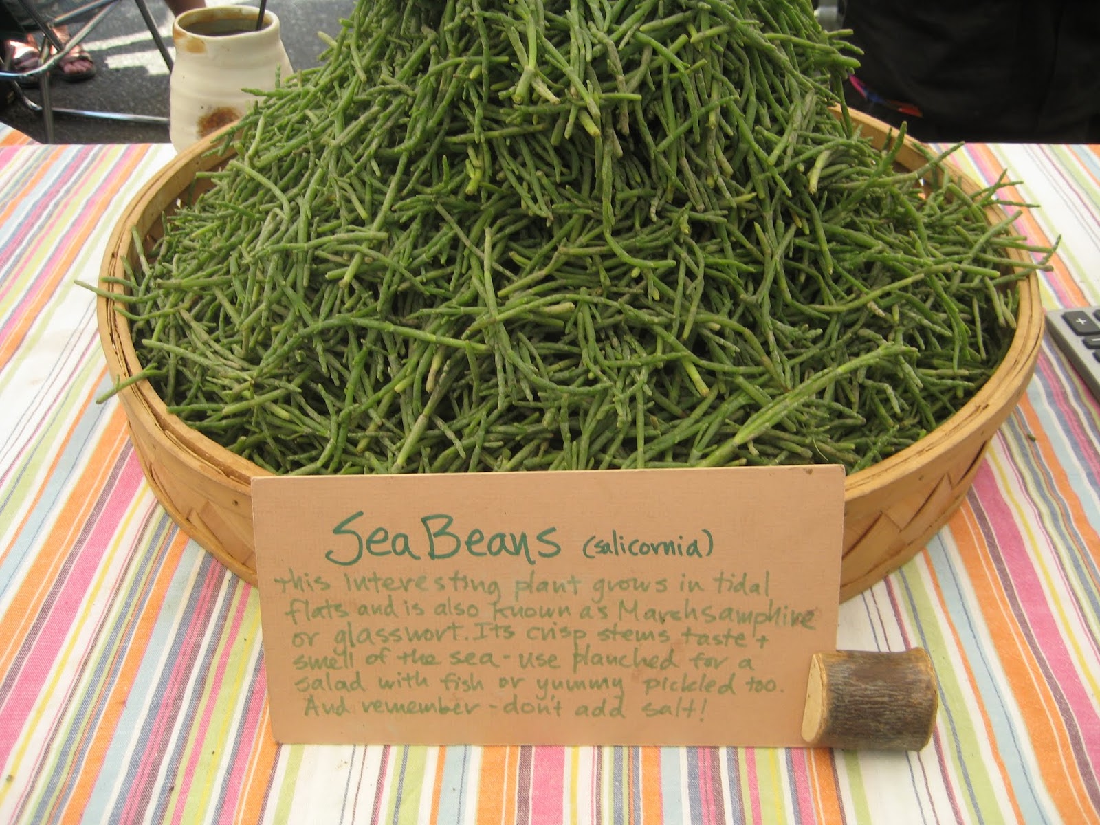 Shoreline Area News Humble Feast Monday plus recipe for Sea Bean Salad