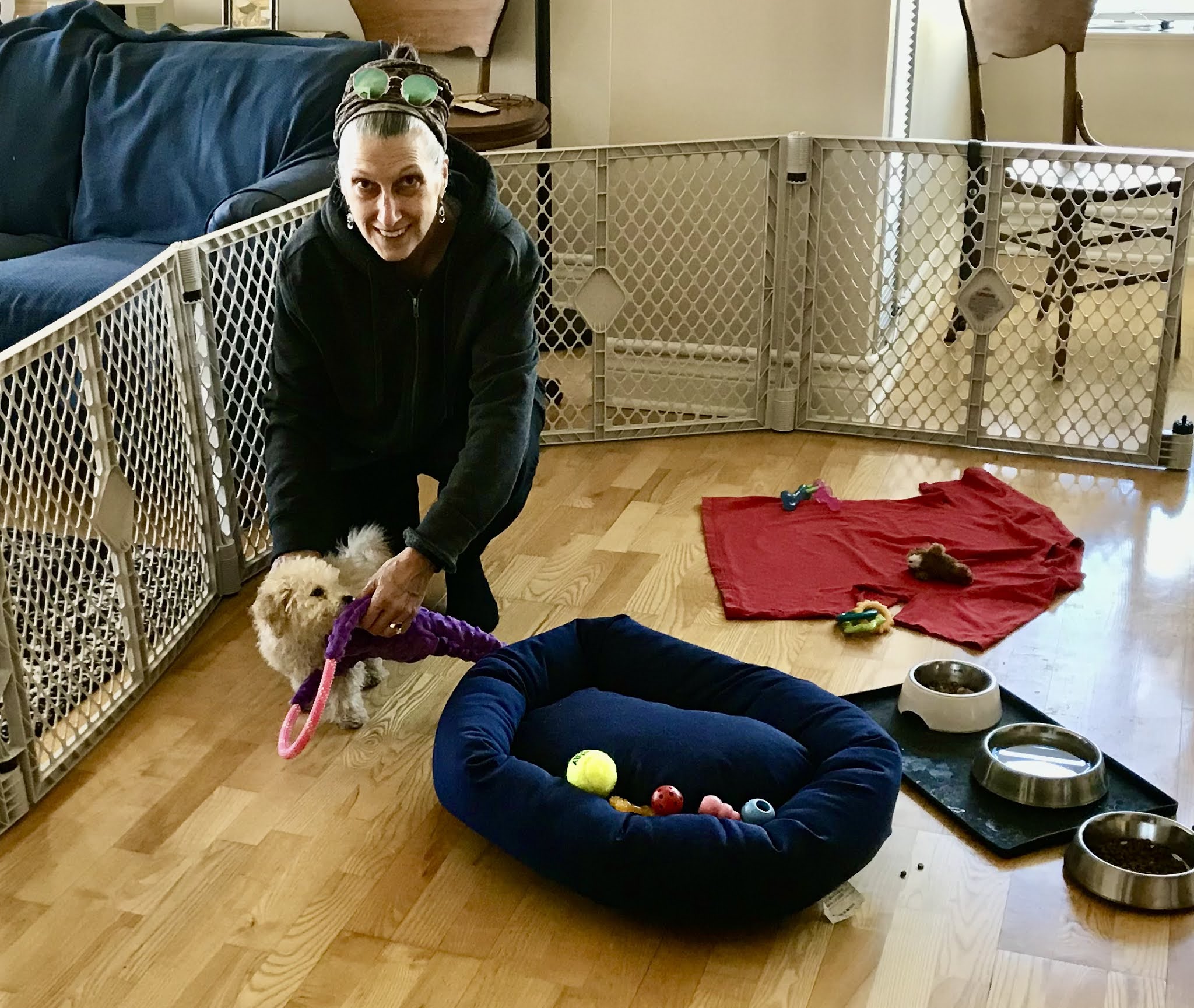 Just a Little Bit Cranky Hostage to a 4pound dog