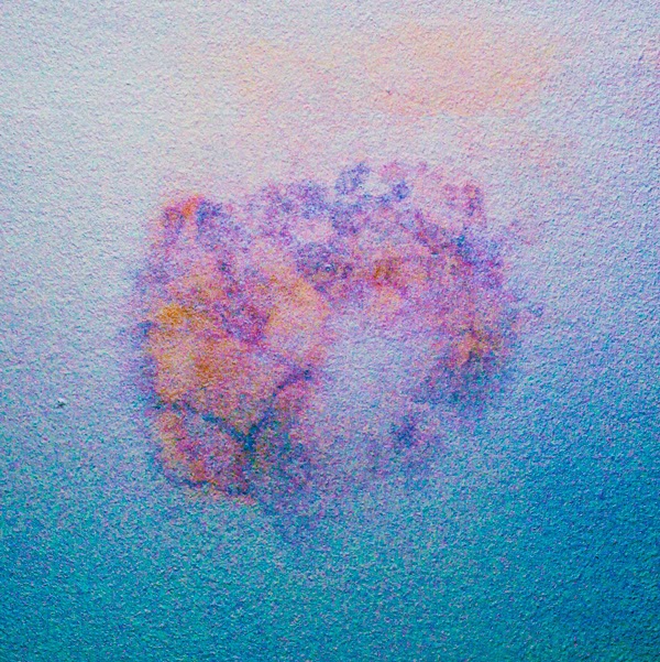 What The Wasps Are Doing To Your Ceiling