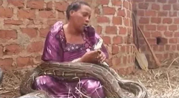 Woman Caught Breastfeeding A Huge Snake (Pictures)