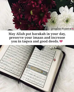 quran images with flowers