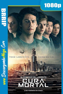 Maze Runner La Cura Mortal (2018) HD 1080p Latino