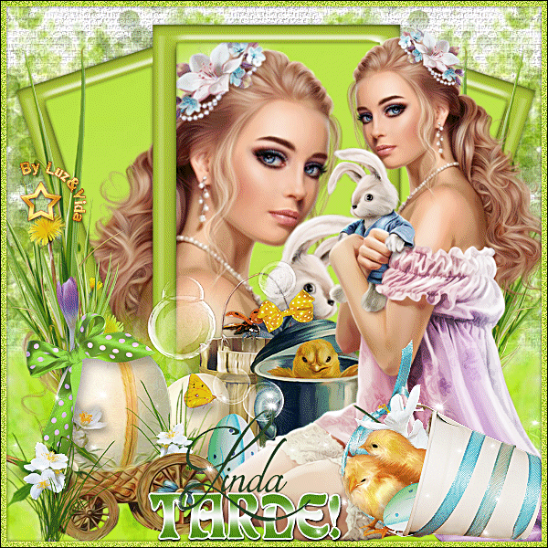 BLOGS37-%2B%2528MB%2529maryluz.gif