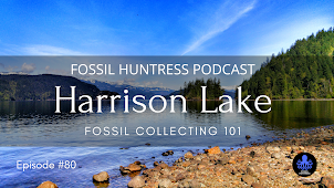 Fossil Collecting Harrison Lake