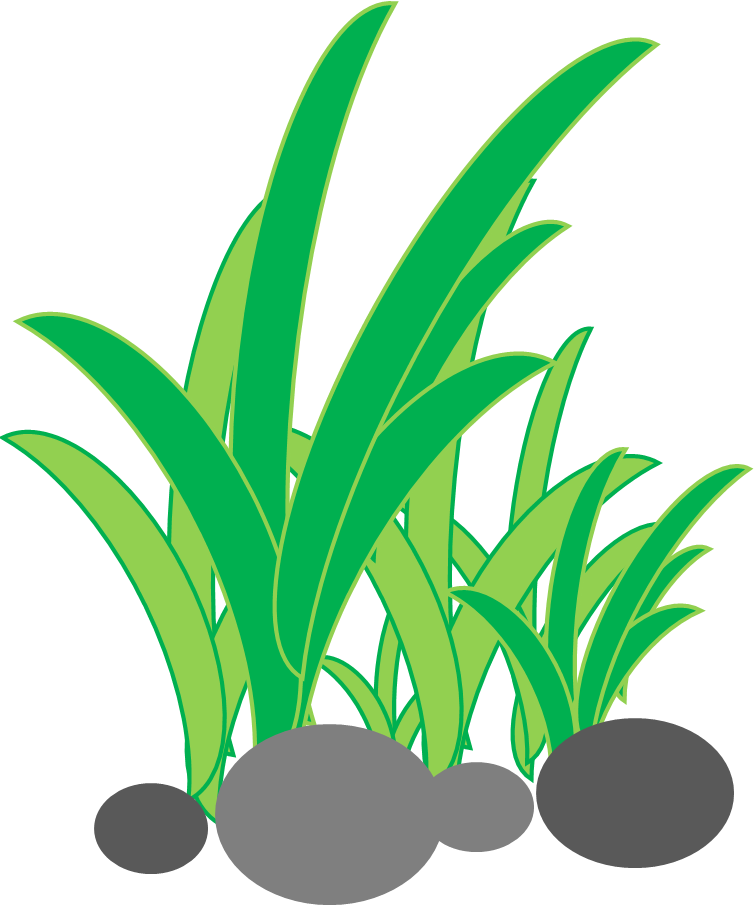 Gambar Animasi Rumput / Bentuk-bentuk rumput | Hdesign