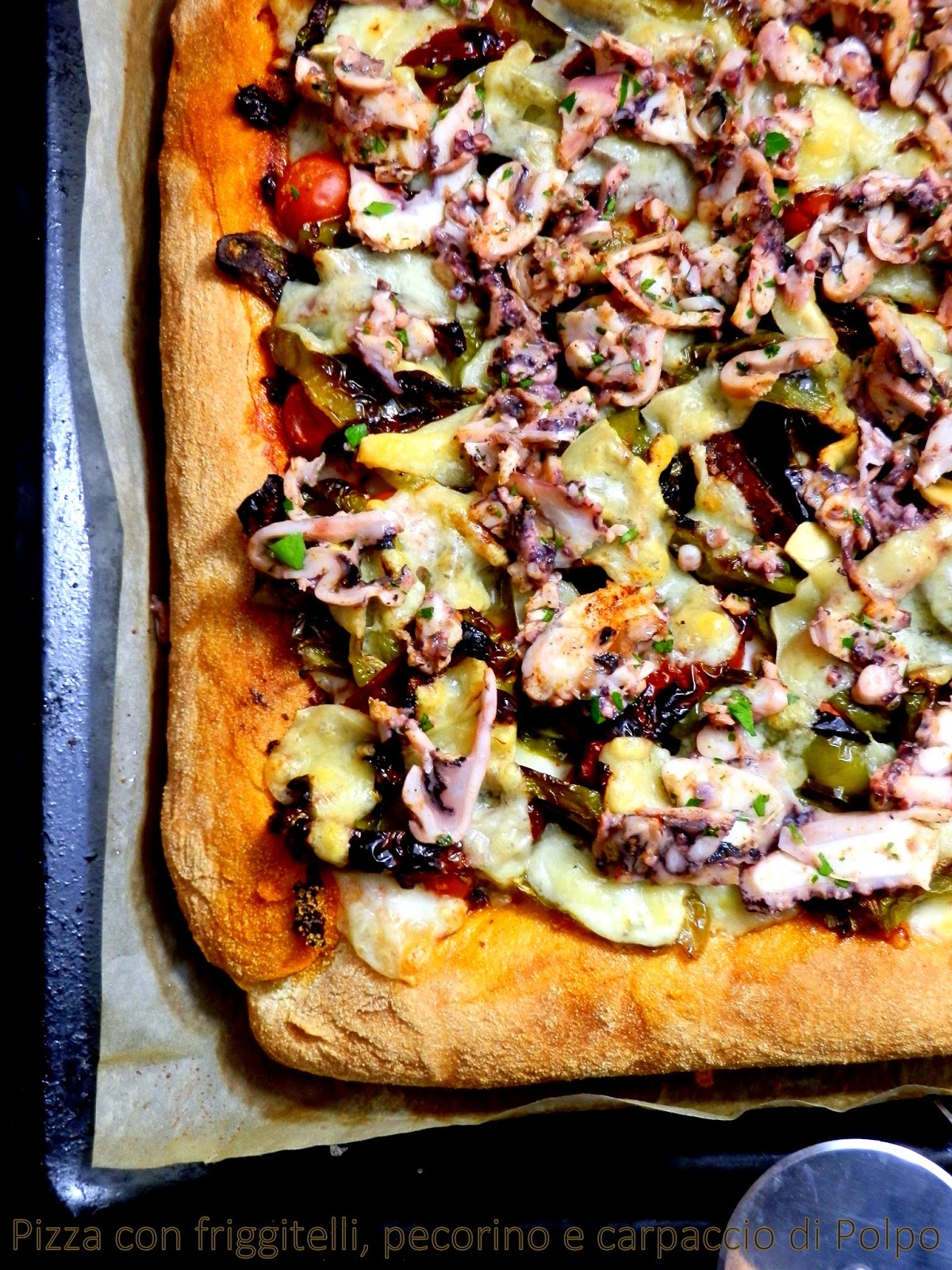 PIZZA con friggitelli, pecorino sardo, pomodori secchi e polipo