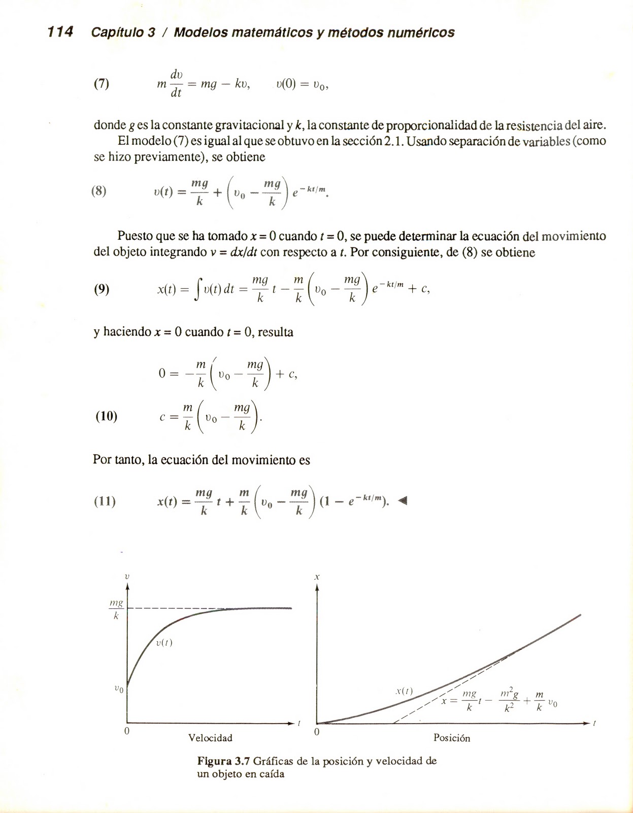 Café expreso Mecánica Newtoniana