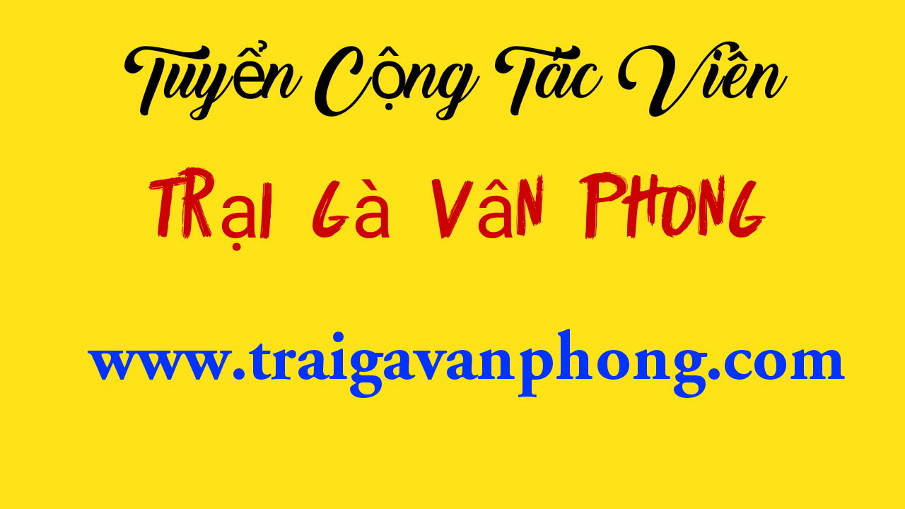 Thông báo tuyển ctv bán hàng cho Trại Gà Vân Phong|Lưu Vân Phong