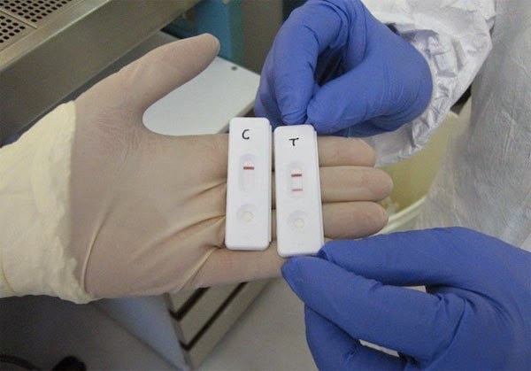 法國研製出伊波拉15分鐘快速檢測儀 外形操作酷似驗孕棒 Ebola eZYSCREEN