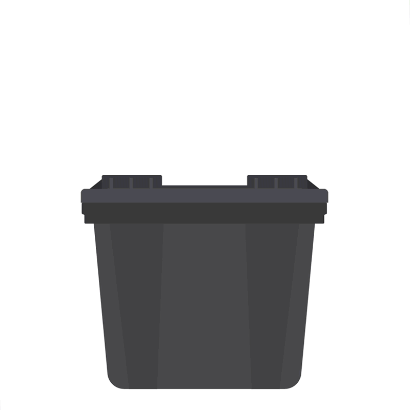 ¿Qué son las proconas?