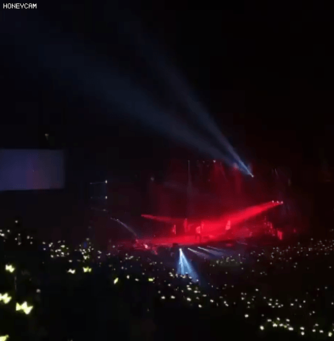 5.gif
