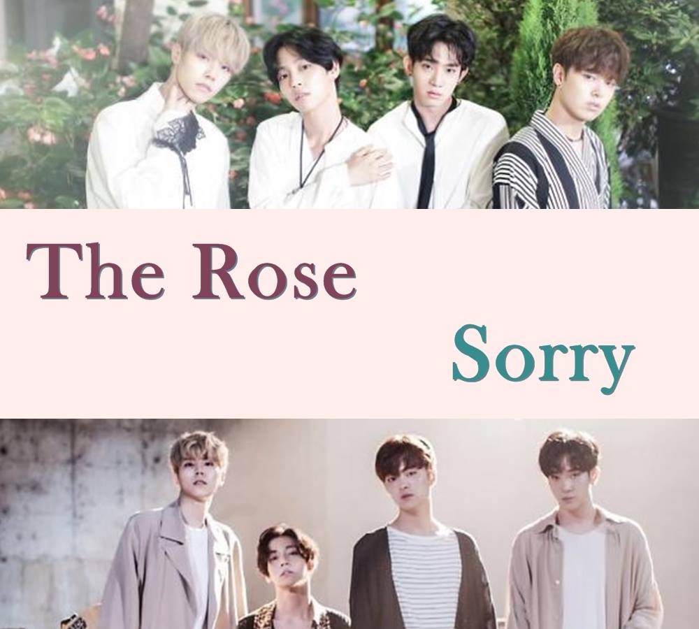 The rose корейская группа red. The rose is the most deeply ingrained. The rose корейская группа участники. The rose корейская группа. The rose корейская группа альбомы.