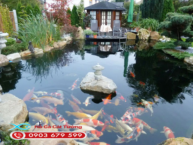 Thiết kế hồ cá koi sân vườn đẹp giá rẻ | Hồ cá chép koi