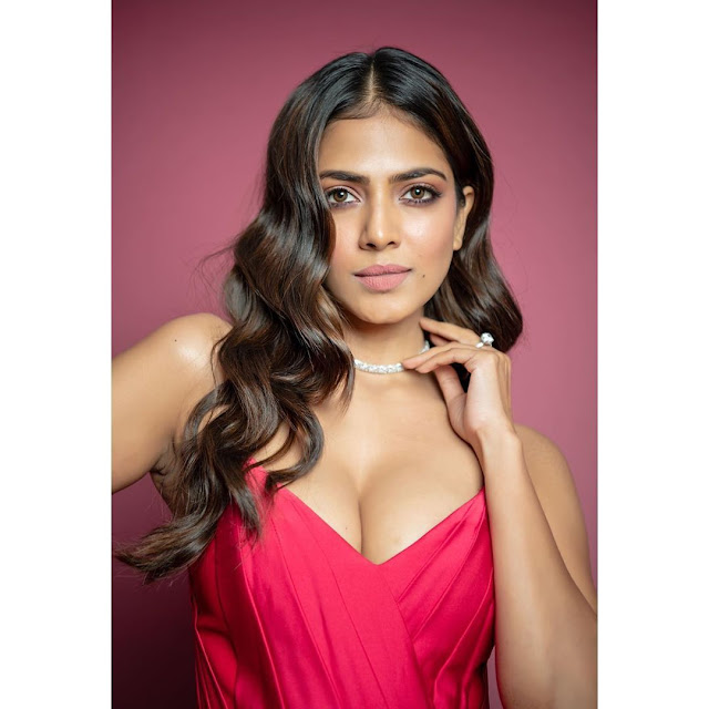 Malavika Mohanan Super Hot Cleavage in Pink Gown