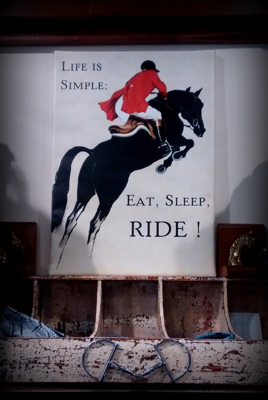 Field Trip Friday Dover Saddlery=Horse Lover's Happy Place Catching