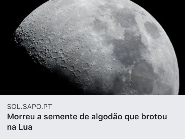 https://sol.sapo.pt/artigo/642563/morreu-a-semente-de-algodao-que-brotou-na-lua?fbclid=IwAR0Yay3arSOGo3scq14SQ-1upMiQWM