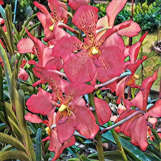 My Image 35