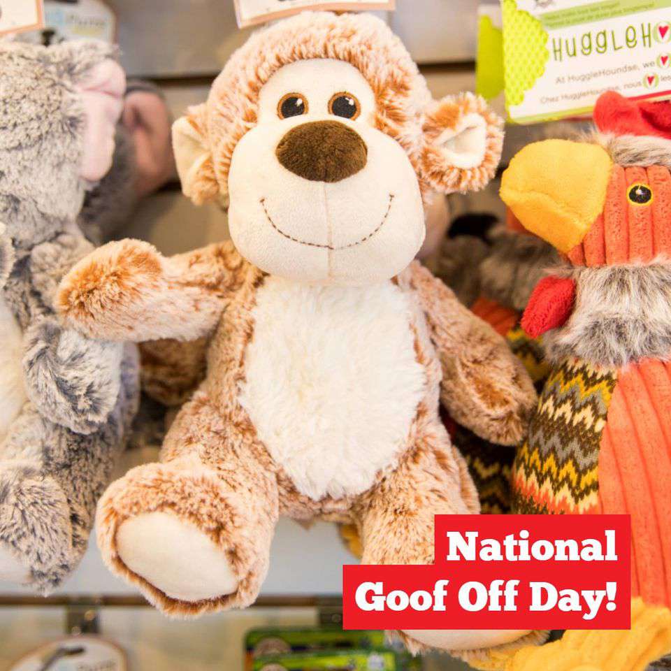 National Goof Off Day Wishes Awesome Images, Pictures, Photos, Wallpapers National Goof Off Day Wishes Awesome Images, Pictures, Photos, Wallpapers
