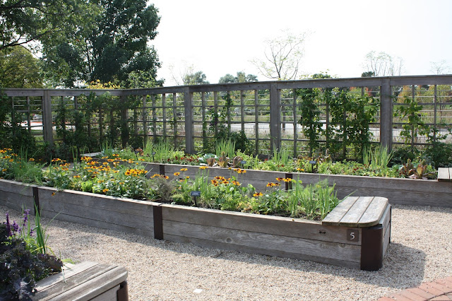 Raised flower beds give kids a good look at plants in the learning garden at Chicago Botanic Garden.