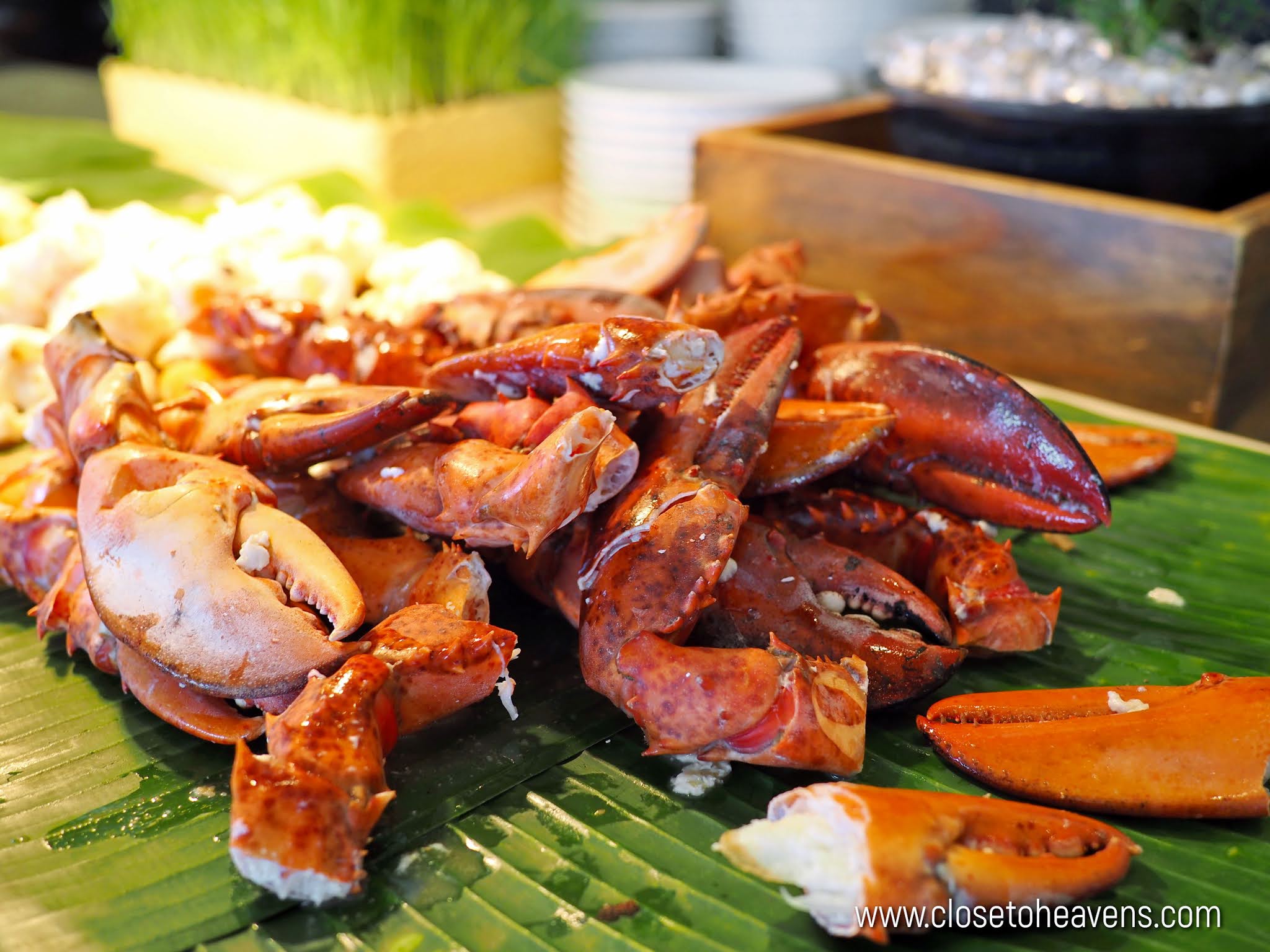 Avani+ Riverside Bangkok | Sunday Brunch Buffet