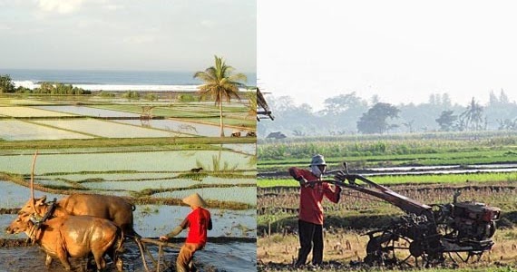 Proses Perubahan Sosial