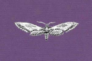 Moth (by Edward Gorey)