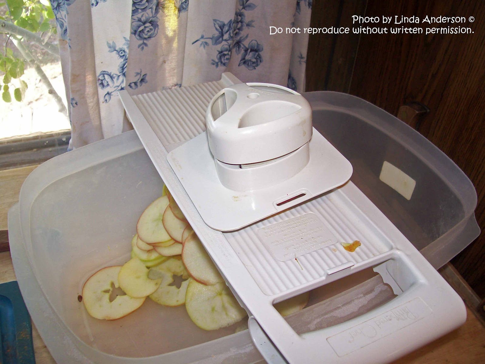 Dehydrating Way Beyond Jerky Mandolin Cross Cut Apples