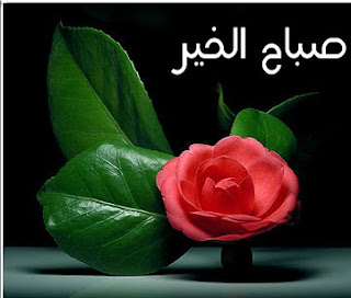 %25D8%25B5%25D9%2588%25D8%25B1-%25D9%2588%25D8%25B1%25D8%25AF-%25D8%25B5%25D8%25A8%25D8%25A7%25D8%25AD-%25D8%25A7%25D9%2584%25D8%25AE%25D9%258A%25D8%25B1%2B%252831%2529