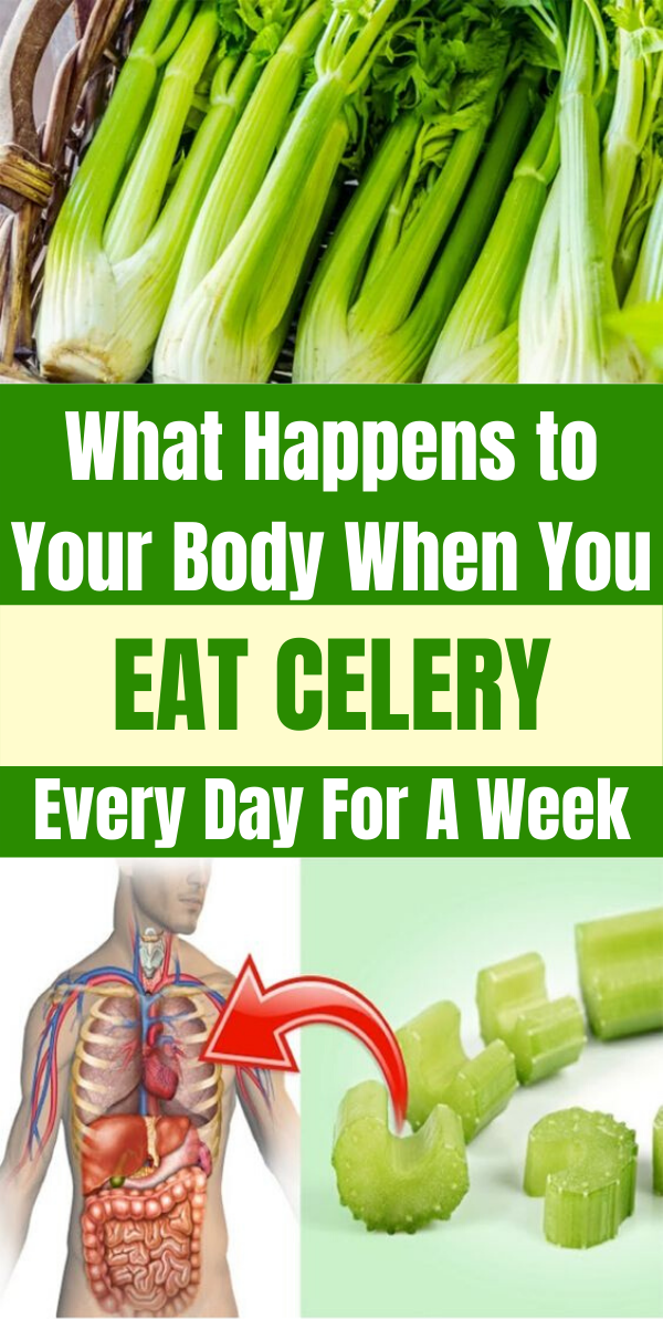 What Happens to Your Body When You Eat Celery Every Day For A Week