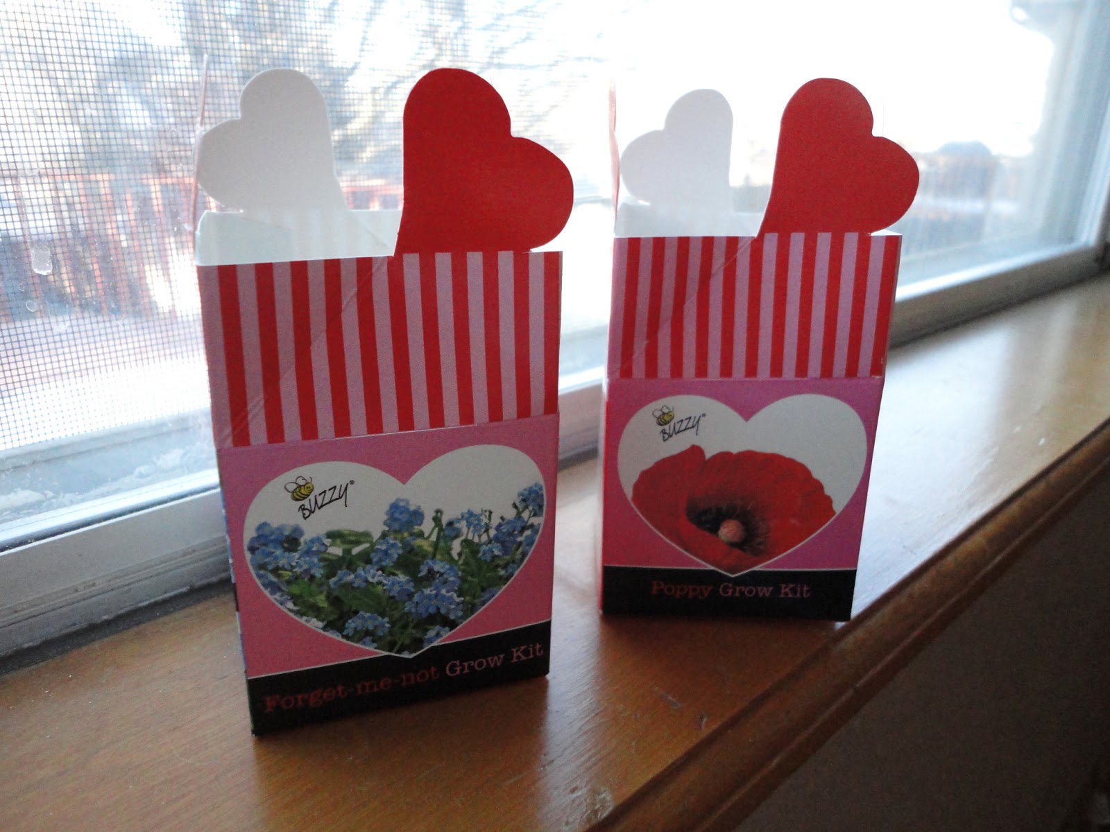 Kawaii DIY mini potted plants at Target