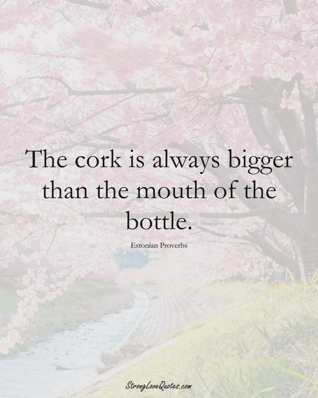 The cork is always bigger than the mouth of the bottle. (Estonian Sayings);  #EuropeanSayings
