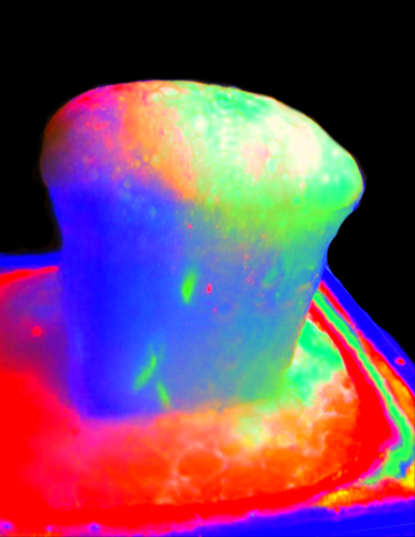 How to make glowing rainbow eruptions.  Volcano science for kids. #scienceexperimentskids #glowingvolcano #glowingvolcanoexperiment #glowingvolcanoscience #volcanoprojectforkids #volcanoexperiment #volcano #glowingrainbow #glowvolcano #bakingsodaandvinegarexperimentforkids #growingajeweledrose