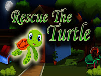  Top10NewGames - Top10 Rescue The Turtle