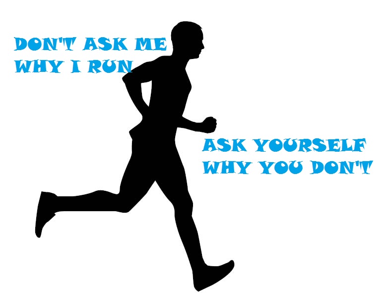 Protection Anti-crevaison Barbieri « Anaconda » 29 Pouces - Pour Pneus VTT 2.1" à 2.3" Et Jantes 19"-25" - Réf. AN/RIC29S