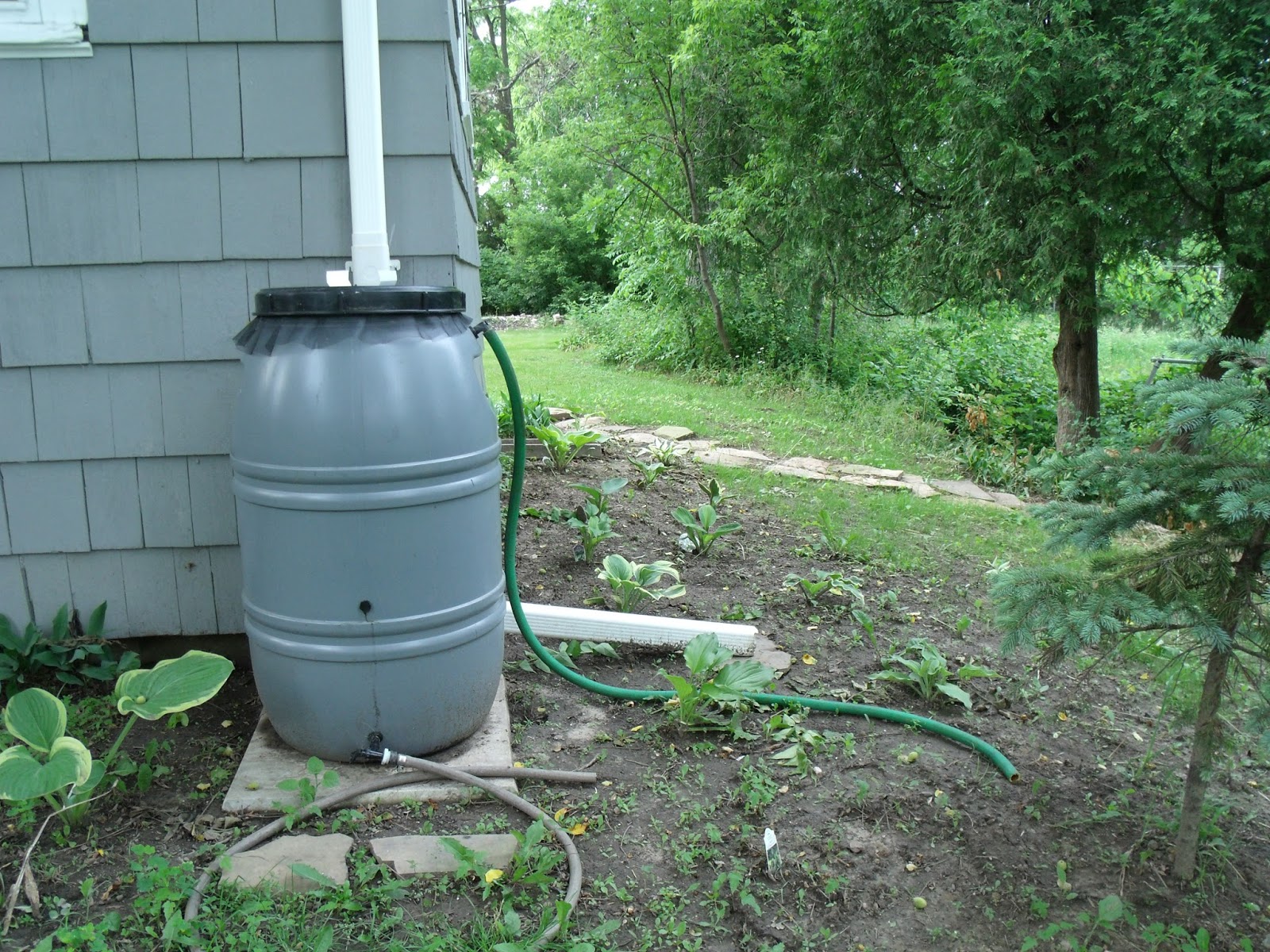 Gear Acres at Top of the Hill What do you do when the rain barrel is full