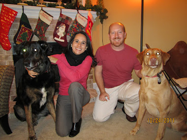 Christmas Picture 2011