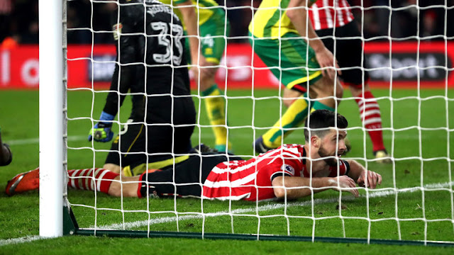 skysports-shane-long-southampton-norwich-goal_3872994.jpg