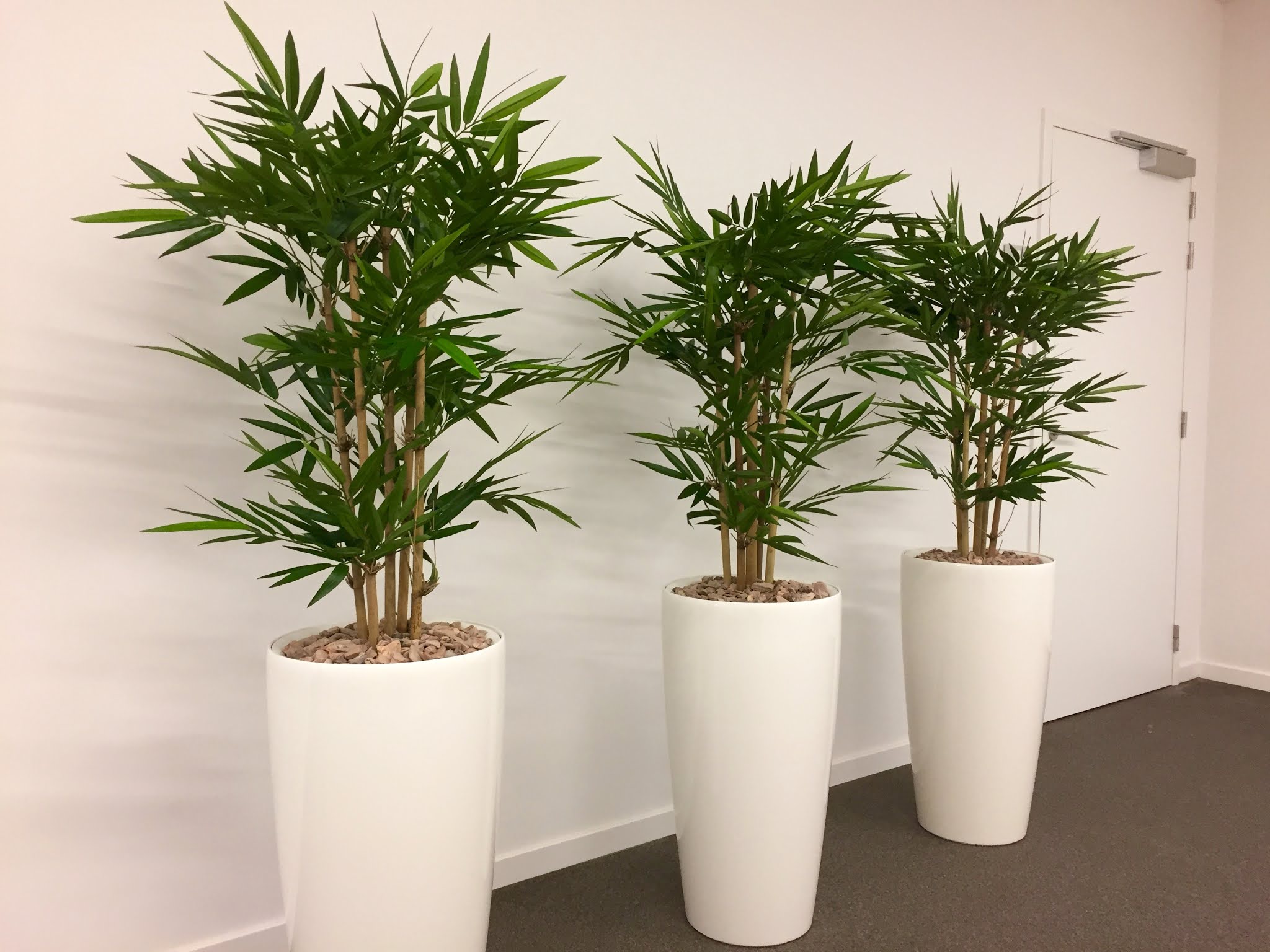 Kunstplanten (voor buiten) KOENinterieurbeplanting Planten verhuur