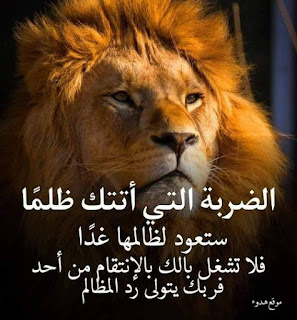صور جميلة, صور جميلة للفيس بوك, صور فيسبوك, صور