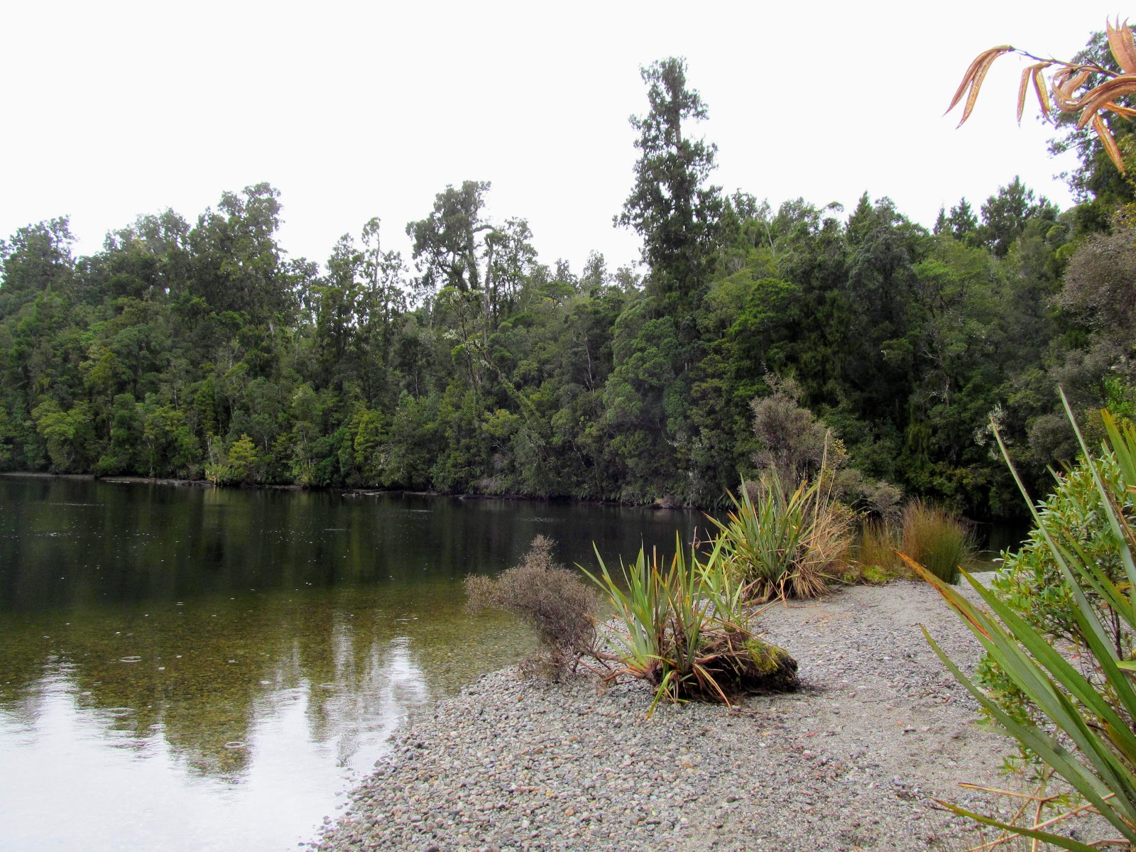 Tramping in the New Zealand backcountry NZ Bush Adventures Hokitika