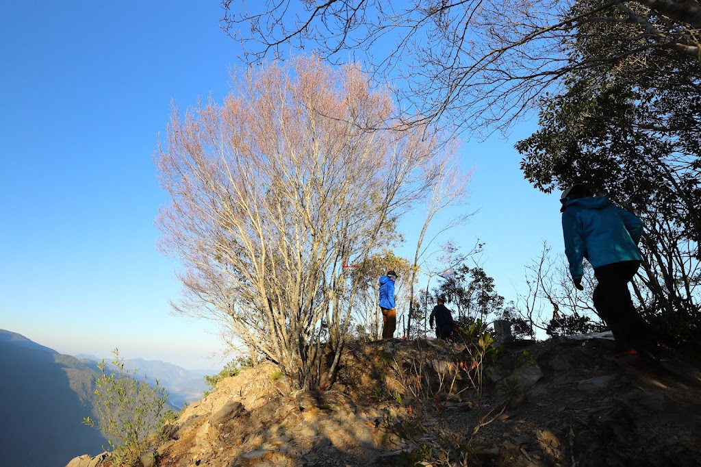 卡社山山頂