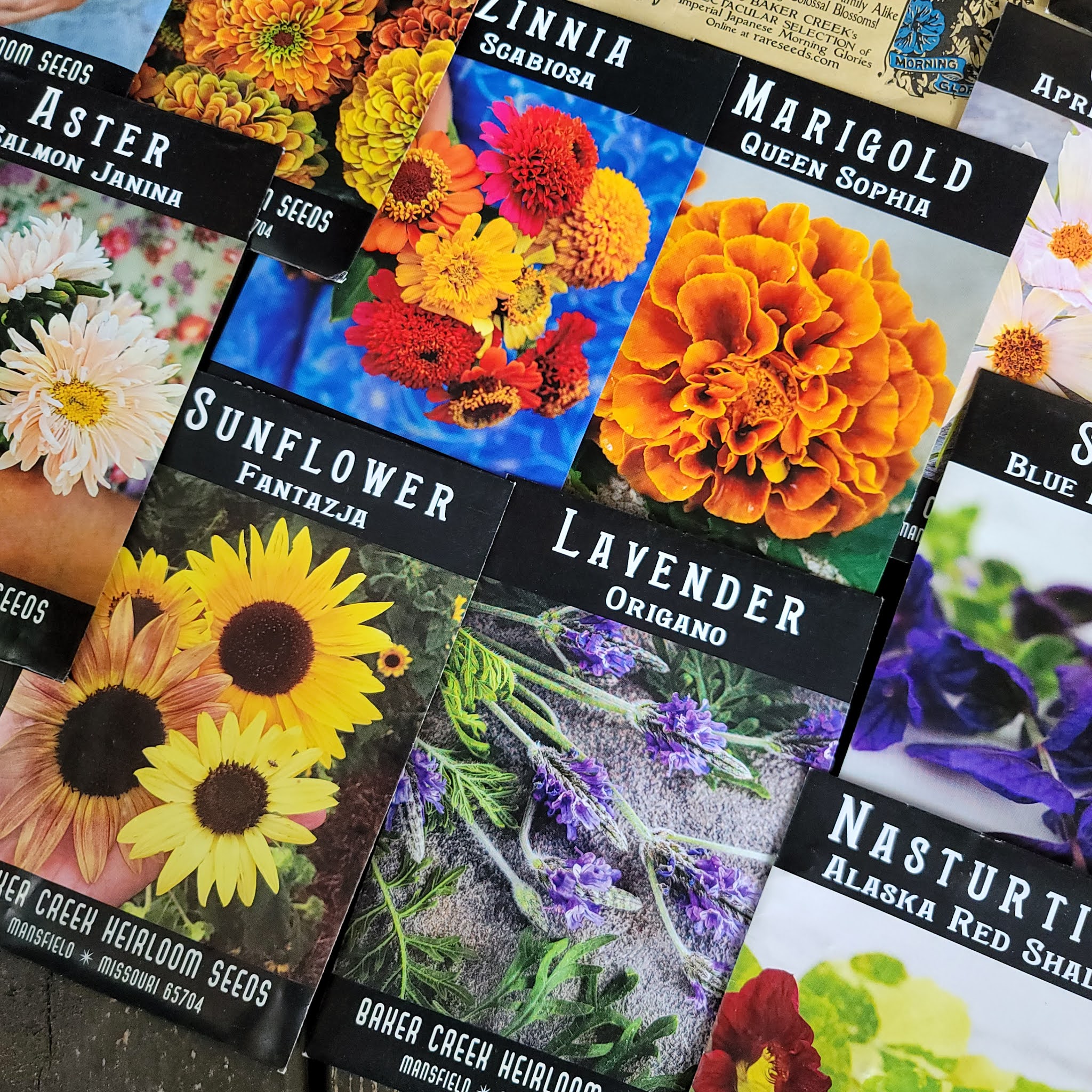 The ABCD Diaries HolidayGiftGuide Baker Creek Heirloom Seeds, the