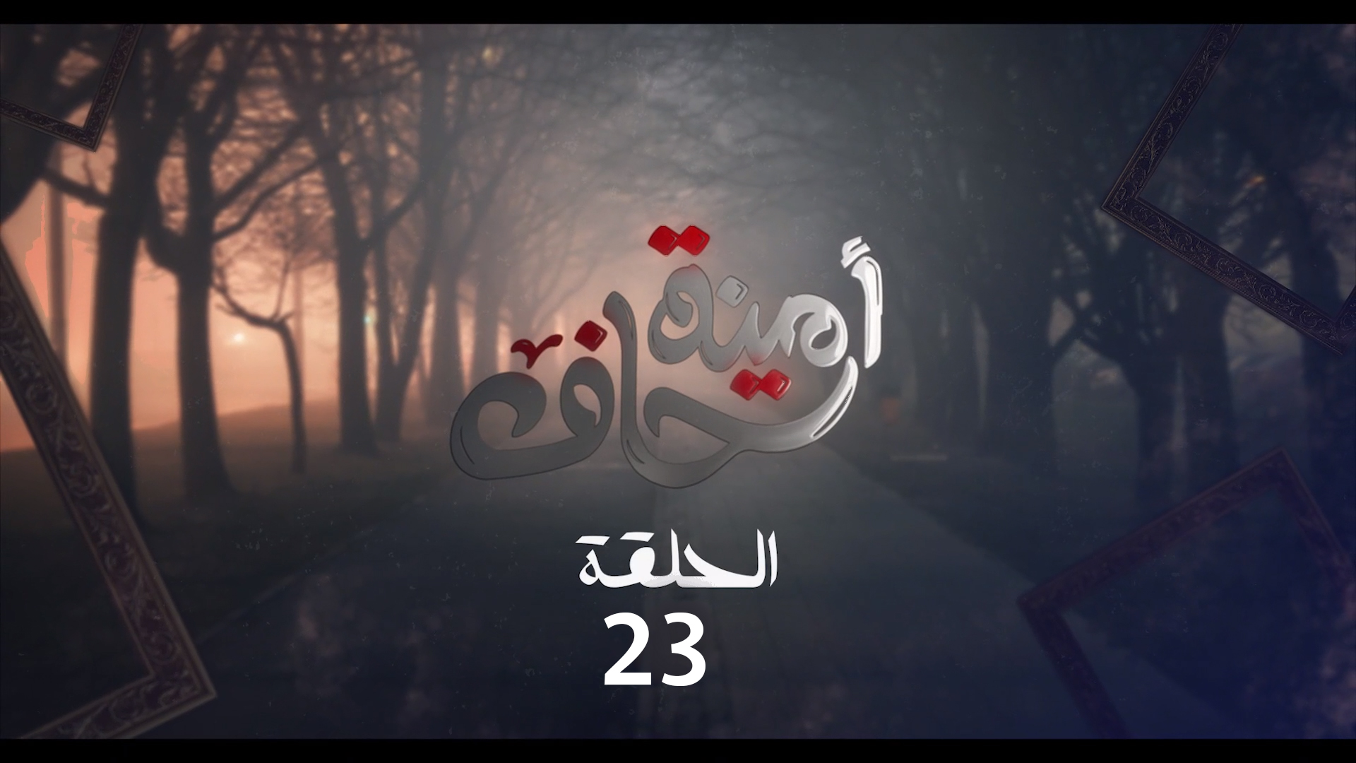 امينة حاف 23