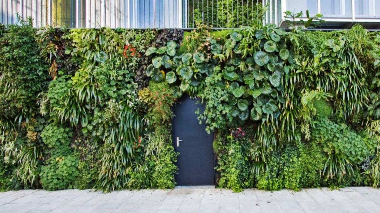 jardines verticales que es y como